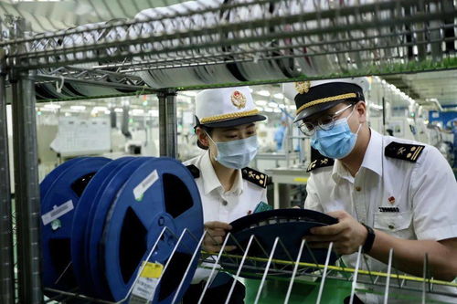 监管创新助鲲鹏企业腾飞 企业管理咨询的新引擎